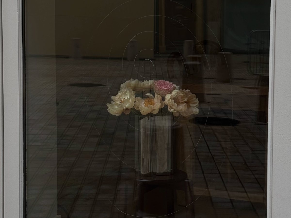 Vitrine fleurie de Saudade à Aix-en-Provence